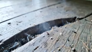 czym wypełnić szpary między deskami w podłodze