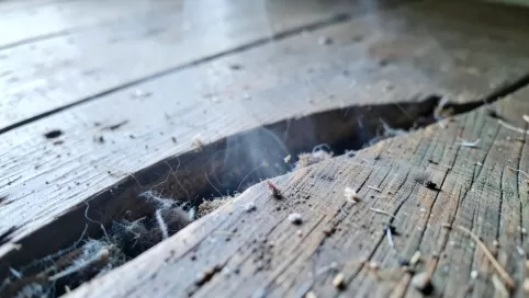 czym wypełnić szpary między deskami w podłodze