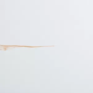 Deska Cedral cena za m2