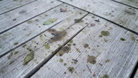 deska kompozytowa impregnat